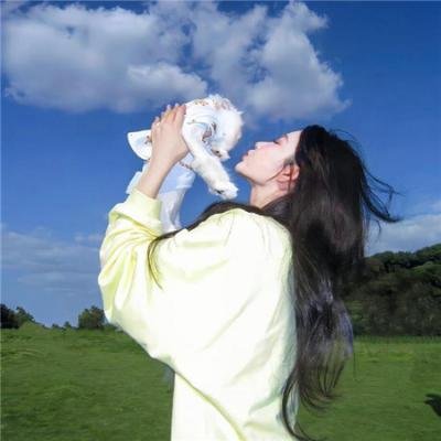 被炉、蜜桔和小猫